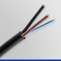 lameflex-flexivel-c3